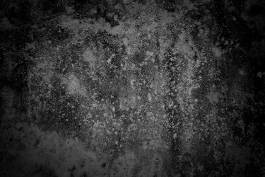 Similar image 6694086