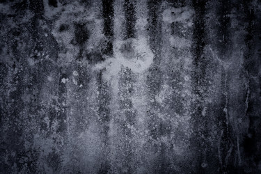 Similar image 6694087