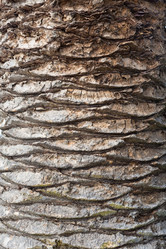 Similar image 6694100