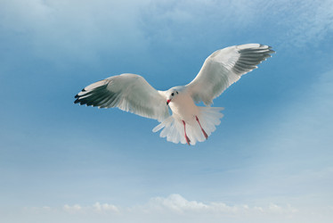 Similar image 6694111