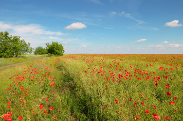 Similar image 6694112