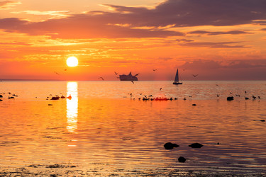 Similar image 6694169