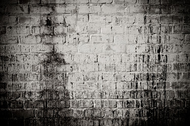 Similar image 6694182