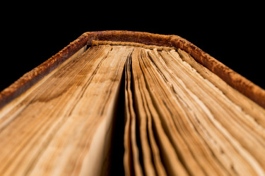 Similar image 6694230