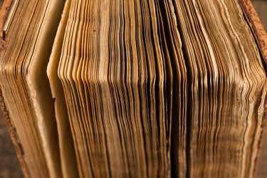 Similar image 6694231