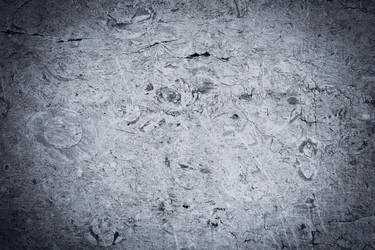 Similar image 6694237