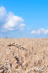 Similar image 6694248