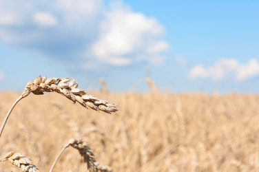 Similar image 6694252