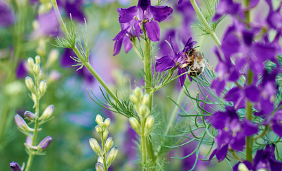 Similar image 6694563