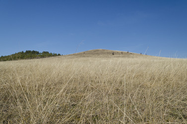 Similar image 6694647