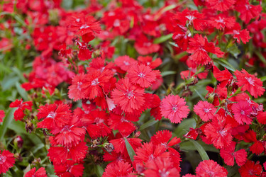 Similar image 6694664