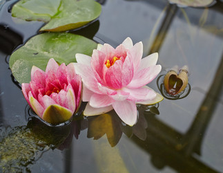 Similar image 6694665