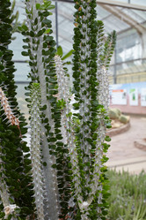 Similar image 6694667