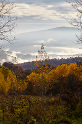 Similar image 6694671