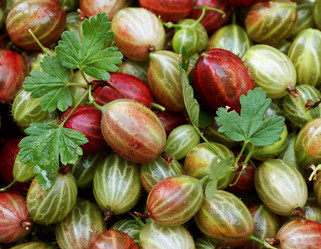 Similar image 6694677