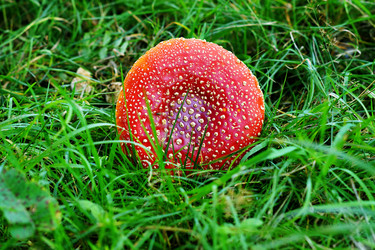 Similar image 6694681