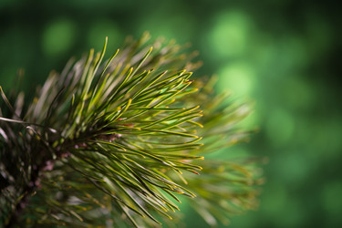 Similar image 6694827