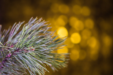 Similar image 6694828