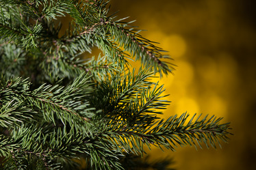 Similar image 6694829