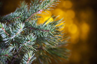 Similar image 6694831