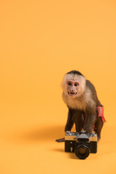 Similar image 6694836