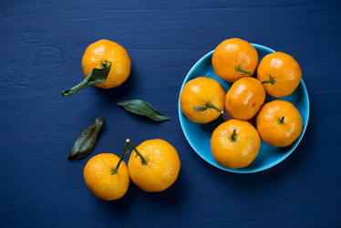 Similar image 6694984