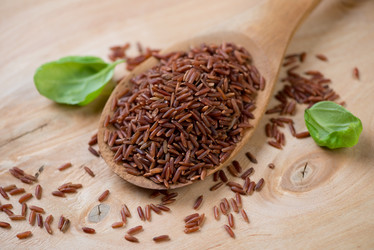 Similar image 6695010