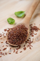 Similar image 6695012