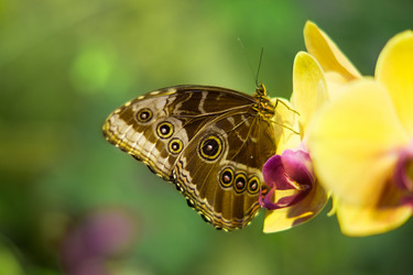 Similar image 6695036