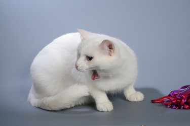 Similar image 6695062