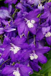 Similar image 6695073