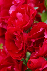 Similar image 6695082