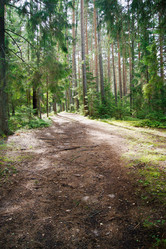 Similar image 6695089