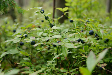 Similar image 6695090