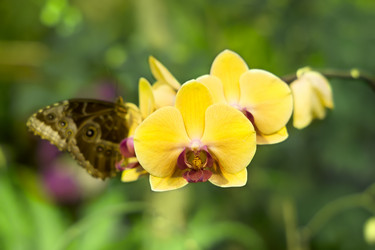 Similar image 6695092