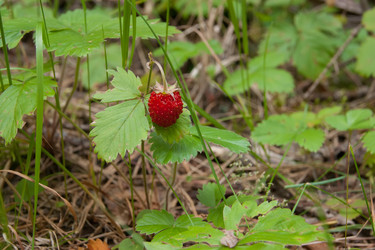 Similar image 6695096