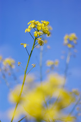 Similar image 6695114