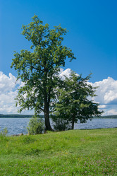 Similar image 6695120