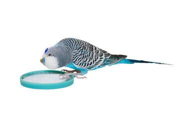 Similar image 6695139