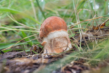 Similar image 6695144