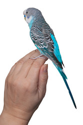 Similar image 6695145