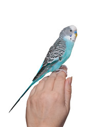 Similar image 6695146