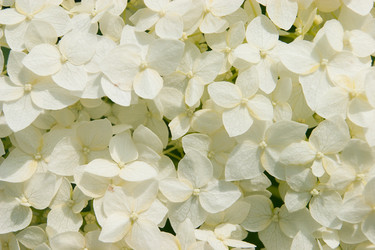 Similar image 6695158