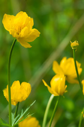 Similar image 6695160