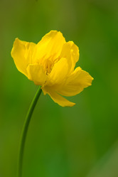 Similar image 6695161