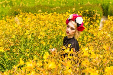 Similar image 6695169