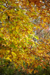 Similar image 6695177