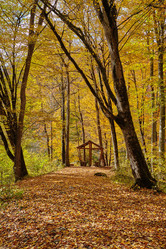 Similar image 6695179