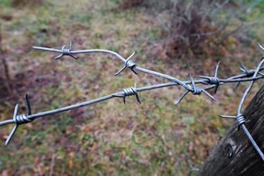 Similar image 6695180