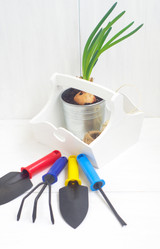 Similar image 6695319